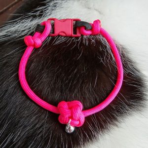 collier pour chat sécurisé