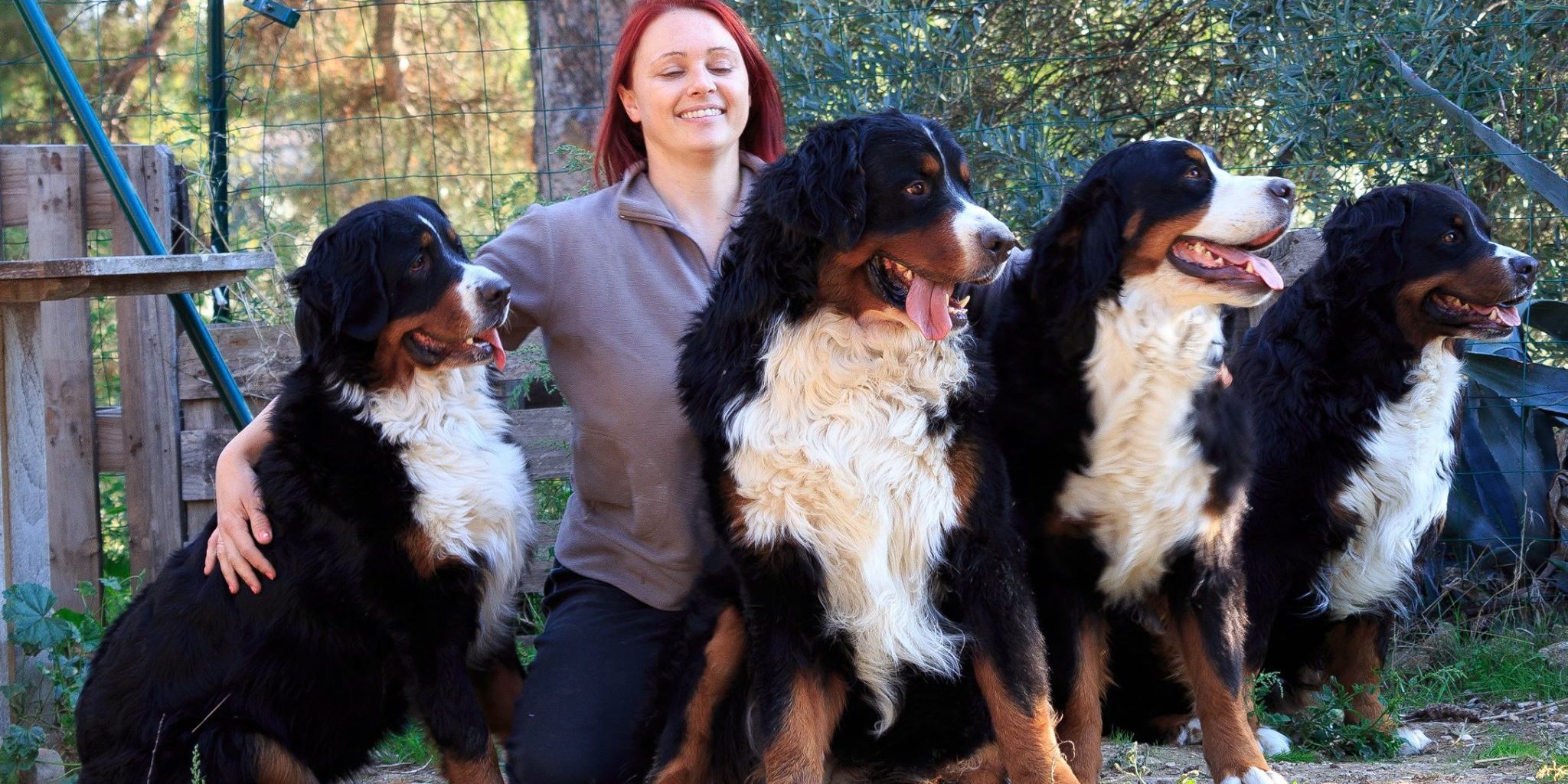 13116400_10204853132008687_66952739520010106_o