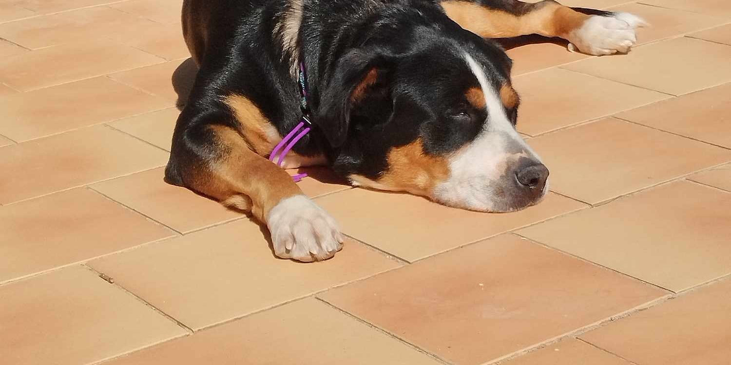 462553517_523711993848978_8195828638342914488_n