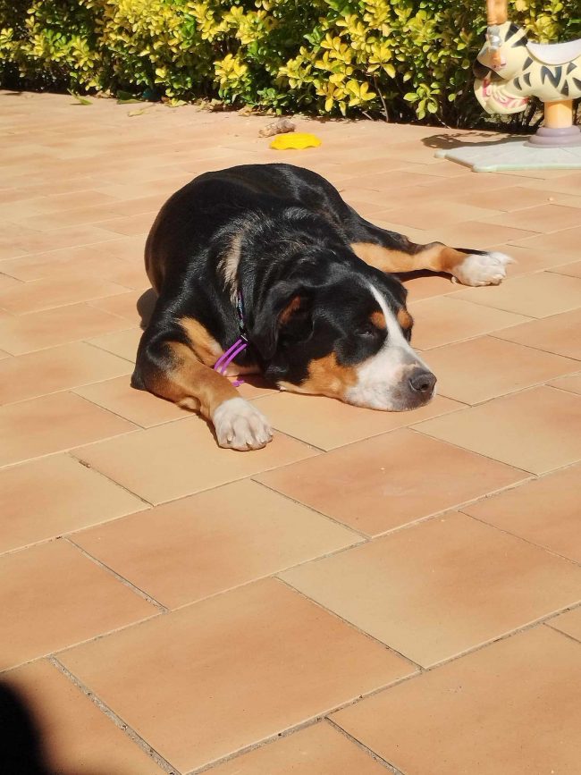 462553517_523711993848978_8195828638342914488_n