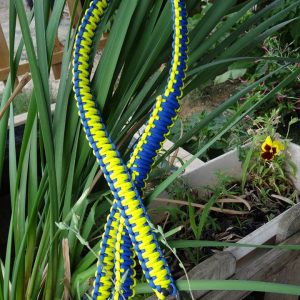 laisse large1m50